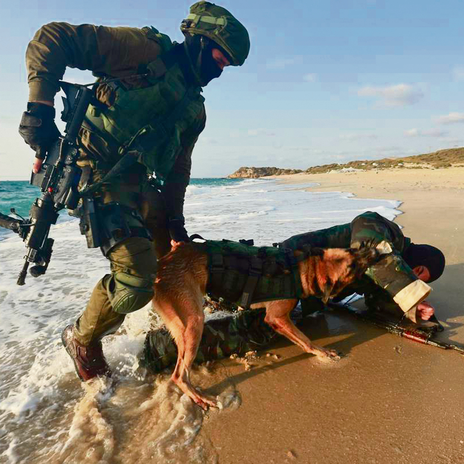 חברו הטוב ביותר של הלוחם ידיעות אחרונות